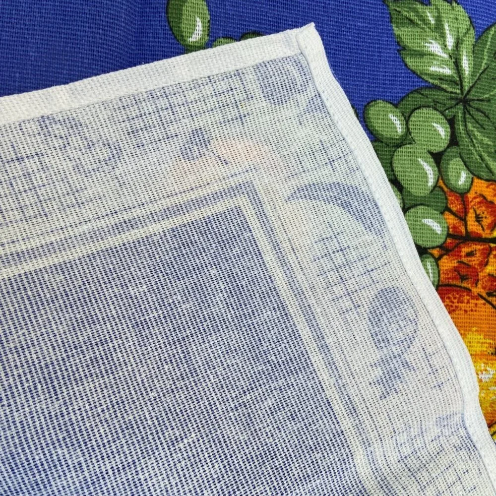 NWOT Kitchen towel Fruits
